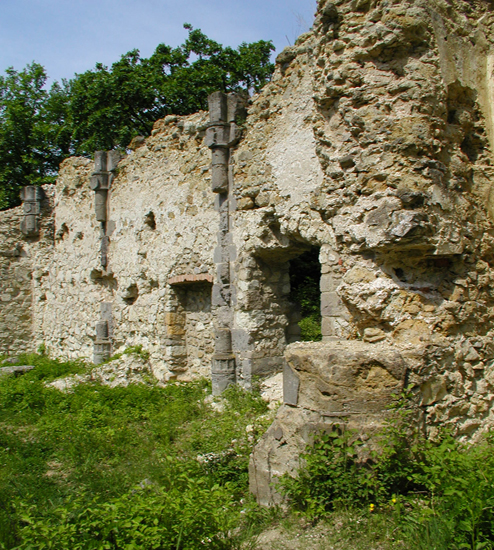 Kurityán,Pálos kolostorrom
